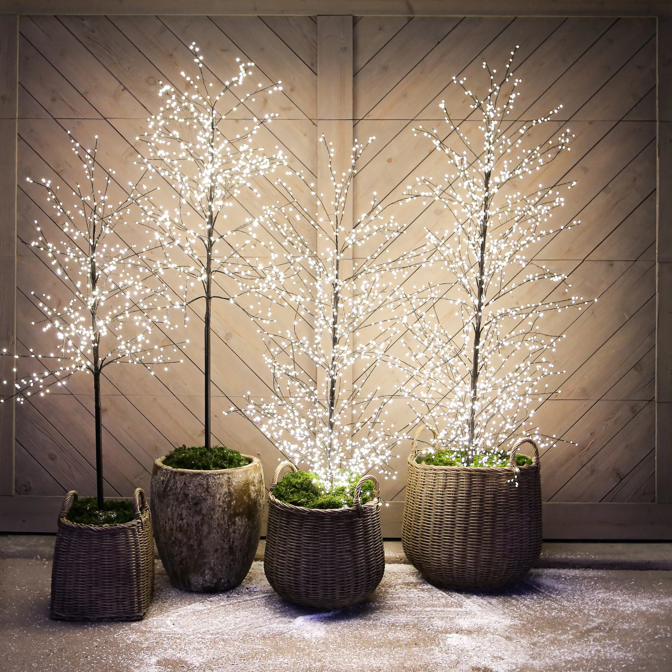 Full Trunk Sparkle Tree-Choose from Two Styles-BASKETS AND PLANTERS NOT INCLUDED