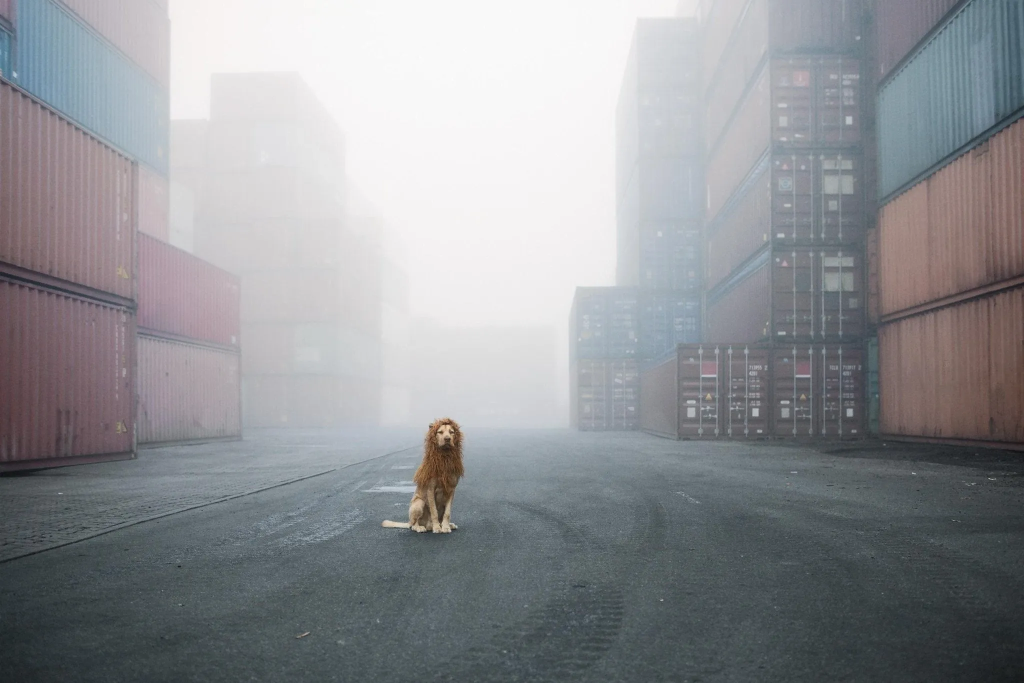 Grostadtlwe - Container - Julia Marie Werner