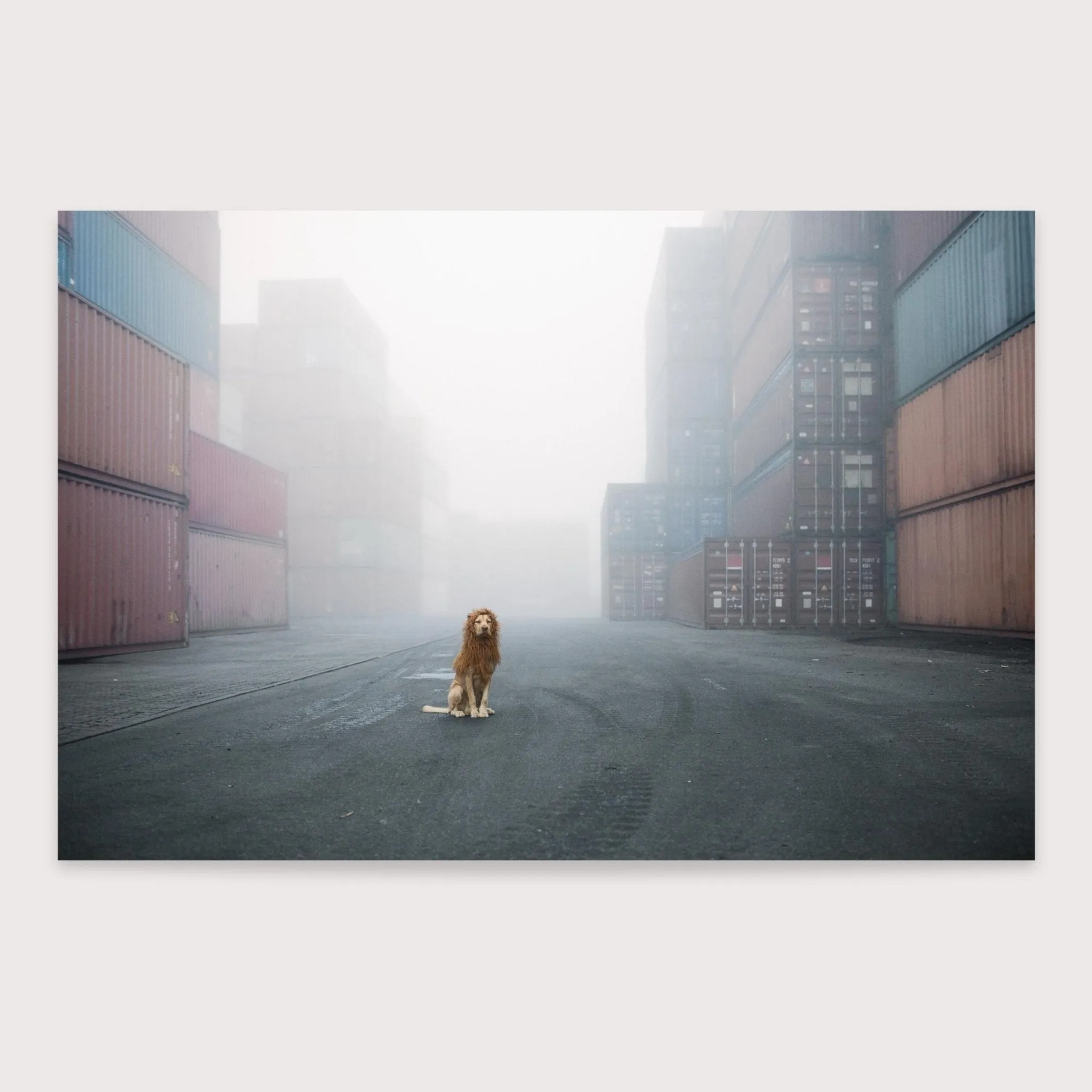 Grostadtlwe - Container - Julia Marie Werner